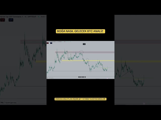 What will happen to bıtcoins and subcoins pepe analysis doge analysis shhiba analysis