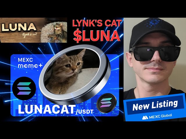 $ luna-林克的貓代幣加密硬幣如何購買luna mexc lynk memecoin solana sol sol raydium