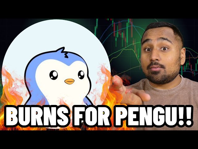 Pengu Massive Verbrennung !! ($ Pengu bis 0,10 US -Dollar) Bullish Burn News! Pudy Pinguine Münzpreisvorhersage