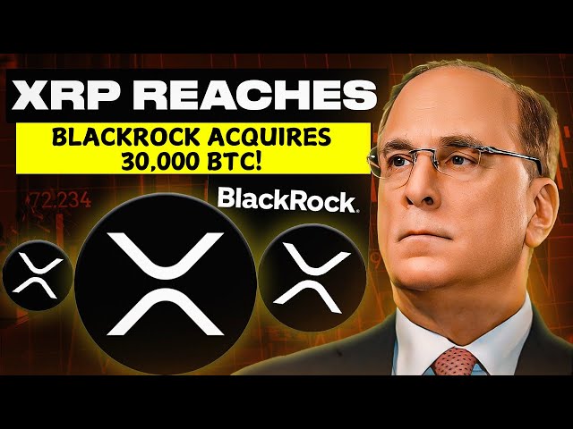 Ripple XRP News - Crypto Crash! Ist Bitcoin Bottom bestätigt? BlackRock erwirbt 30.000 BTC!