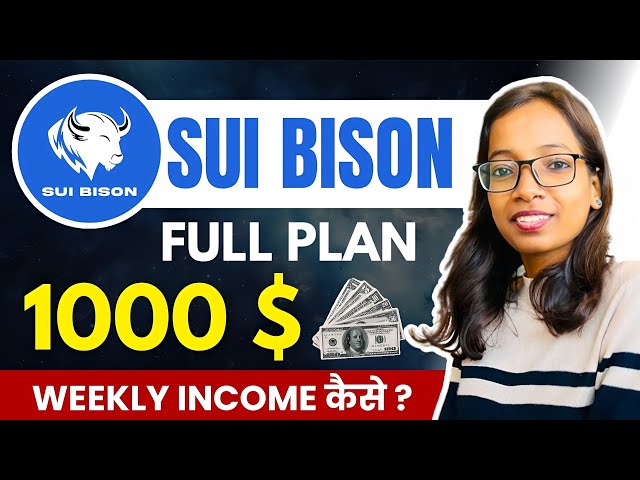 Sui Bisonの獲得| SUIコーナー| St Token