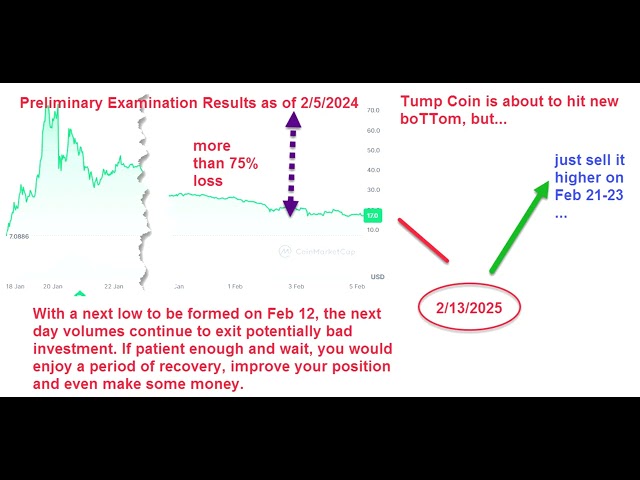 Le grand crash de Trump Coin: la stratégie de sortie et les commentaires