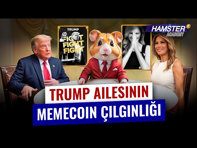 De $ Trump à $ Melania: un look rapide ⚡️ Hamster Academy