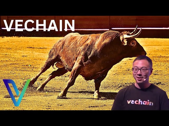 VeChain VET News: VeChain in 2025 Will Melt Faces!