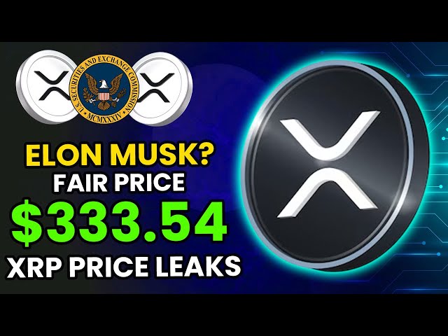 XRP Ripple Elon Musk意外洩漏了XRP價格，價格為333.54美元 - 今天的主要Ripple新聞！