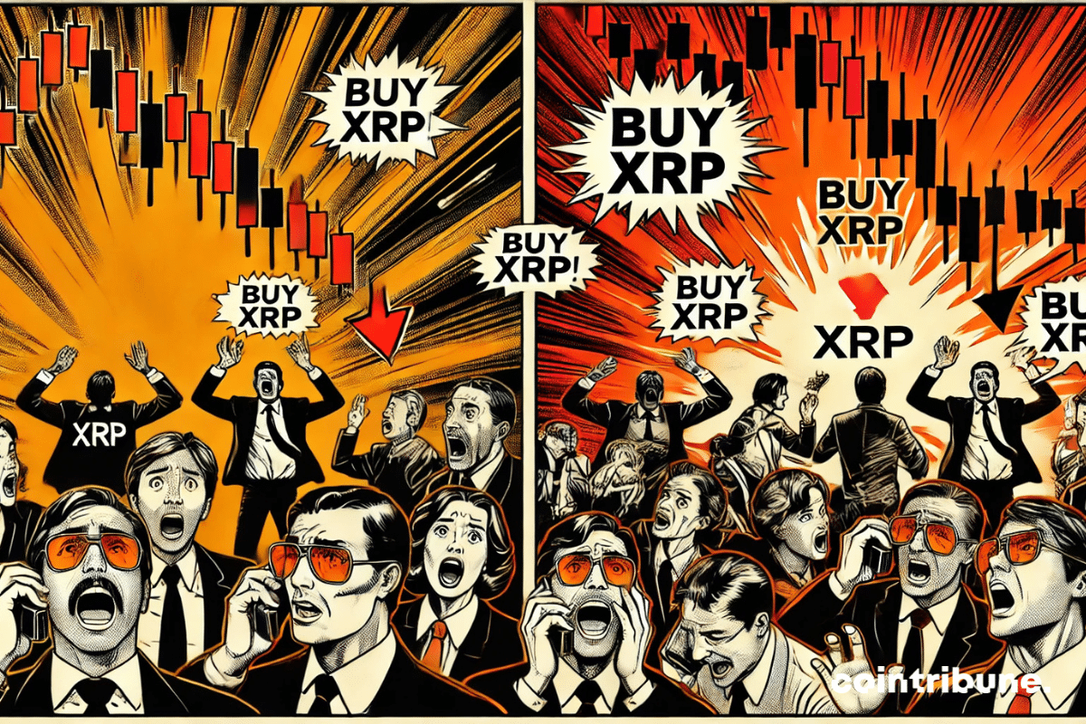 Korean Investors in Action: A Massive Accumulation Below $2