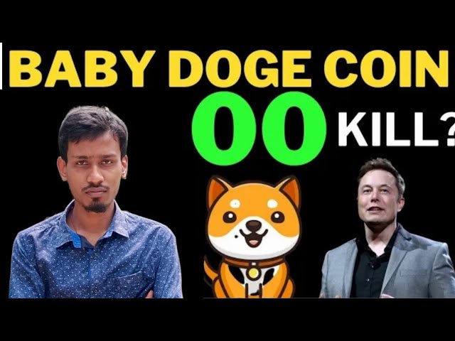 Baby Dogecoin Kill 2 'Zero' | Burn | Pompe de prix de la pièce BabyDoge | Listing de binance