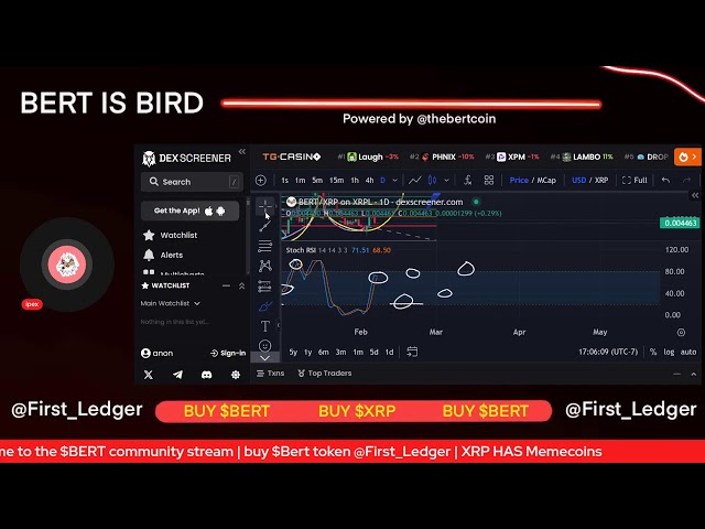 $ Bert The Bird Community | $ xrp에는 memecoins가 있습니까?!?!
