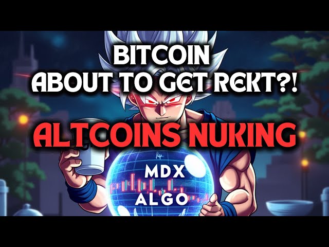 比特幣即將獲得Rekt？ altcoins nuking！特朗普硬幣價格預測 /W MDX ALGO（LIVE）