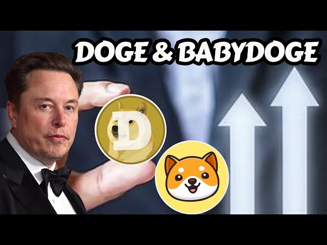 Doge＆Baby Doge硬币更新2025 |买卖点？即将到来的目标？模因硬币新闻今天|