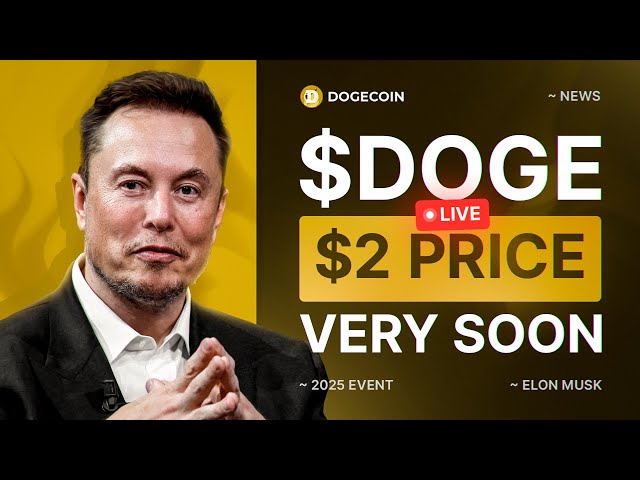 Elon Musk는 2025 년 Doge & Cryptocurrency의 미래를 예측합니다.