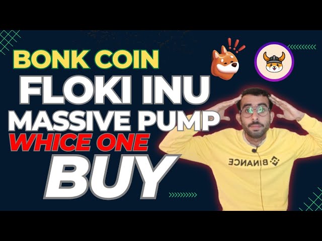 Floki Inu gegen Bonk Coin, die man jetzt kaufen soll | Floki Inu Bonk Coin Preis Vorhersage