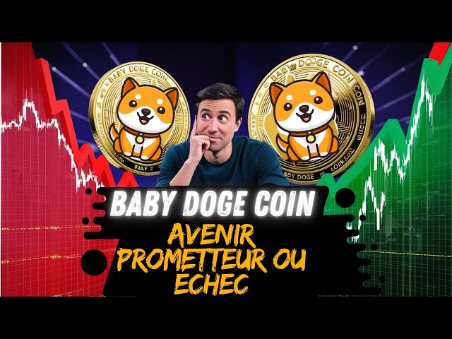 🚀 What is the future of Baby Doge Coin - Analysis 🚀