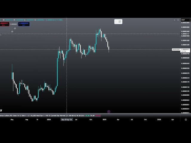 Pepe Coin Bottom Bull Run Pump！？ Pepe加密價格預測和技術分析今天2025