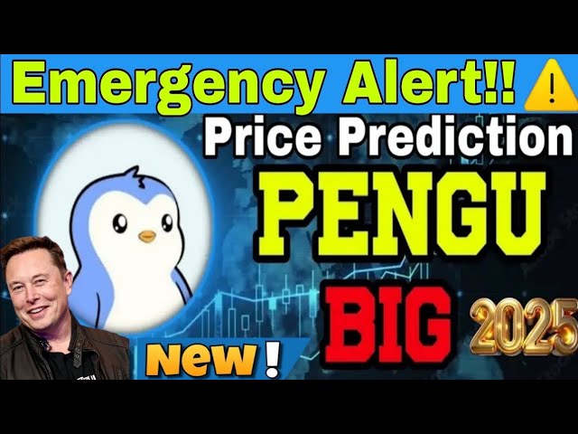 Pudgy Pengu硬币价格预测2025＆评论| Pengu购买与否|诺曼·菲达（Noman Fida）