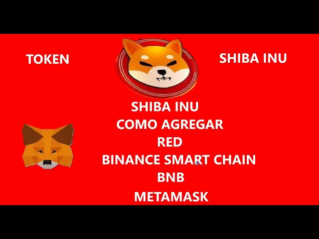 Shiba Inu Wie man das Binance Smart Chain (BNB) -Netz in Metamsk zum Token hinzufügt