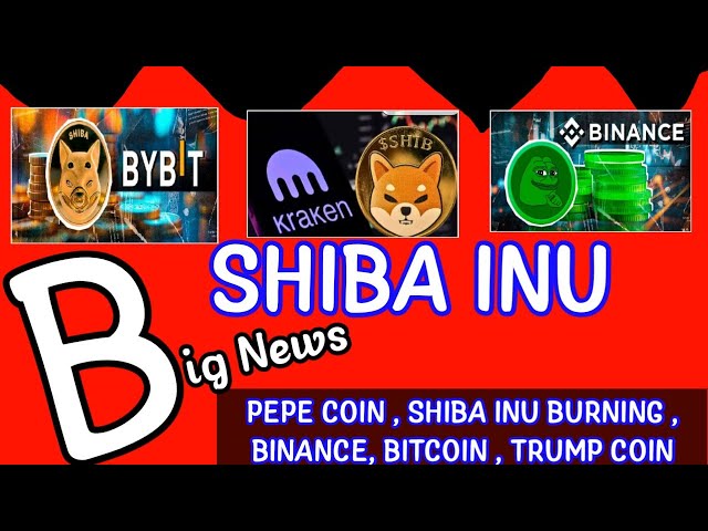 🔥shiba inu燃燒🔥| shiba inu新聞🎉|特朗普硬幣新聞|佩佩硬幣新聞| BTC新聞|加密新聞未剪切