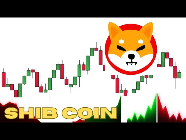 Shib/USDT Coin Live Chart | Binance Crypto Arbitrage Trading Strategy Live | Shib Coin News