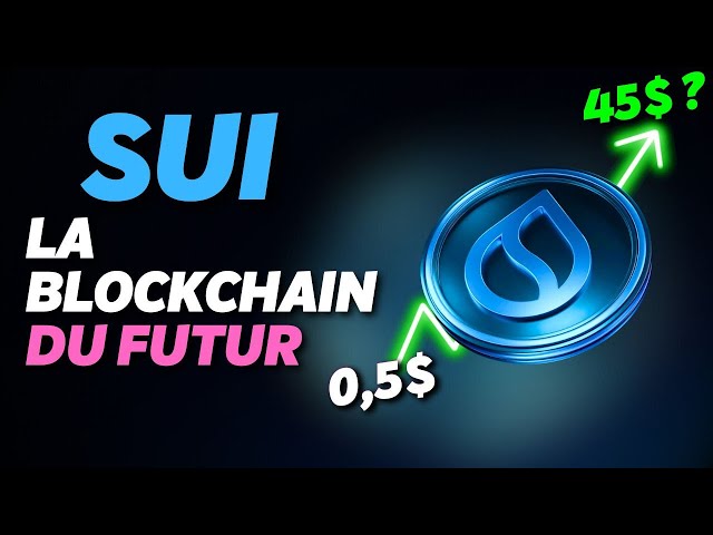 SU: Like buy Solana in 2021? 🚀 The token with enormous potential