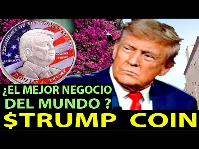 Trump Coin, the best business in the world