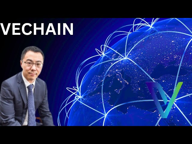 Vechain獸醫新聞：Vechain Bull Cycle現在開始！