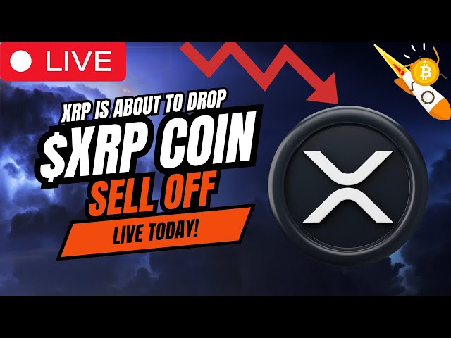 XRP Ripple Live -XRP 코인이 매진됩니다! XRP 24/7 라이브 스트림