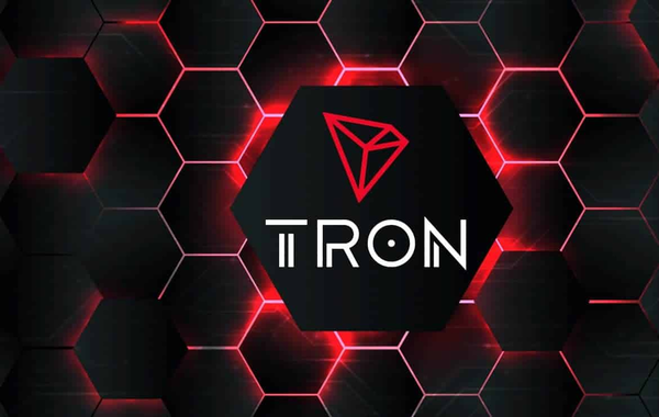 Tron (TRX) hatte 2024 ein enormes Jahr, was seinen Platz auf dem Blockchain -Markt festigte