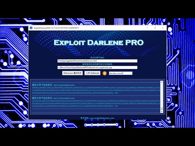 Lost Bitcoin 지갑 7676.30 BTC ExploitDarlenepro + 도구 №4 Decrypt 지갑 .dat의 비밀번호