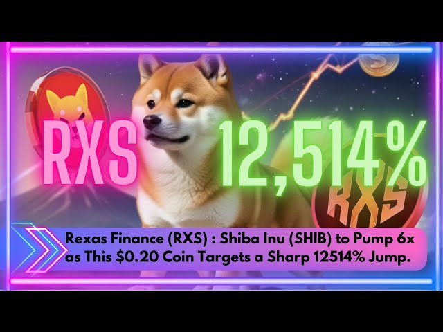 Rexas Finance (RXS) : Shiba Inu (Shib)는 6 배를 펌핑합니다.