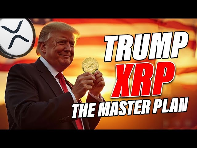 Ripple XRP News - TRUMP'S MASTER PLAN: ELON MUSK REVOLUTIONIZES U.S. TREASURY WITH BLOCKCHAIN!