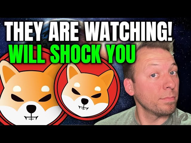 Shiba Inu-他们在看！！！ 👀这会让您感到震惊！