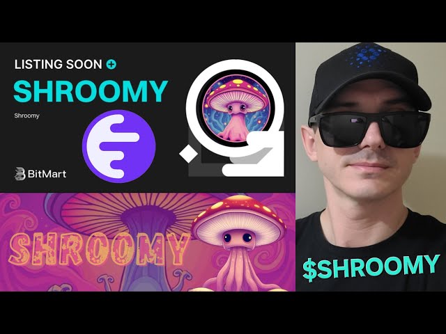 $ shroomy -shroomyトークンクリプトコインインクブロックチェーンビットマートlbank inkochain kraken ethの購入方法