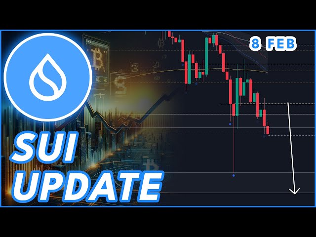 SUI CRASH WARNING!🚨 | SUI TOKEN PRICE PREDICTION & NEWS 2025!