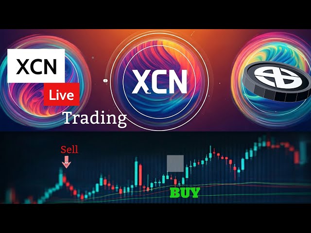 XCN Live Trading | Onyxcoin xcn Price News | Prix ​​XCN | Acheter Sell Signal (éducatif) 8 février