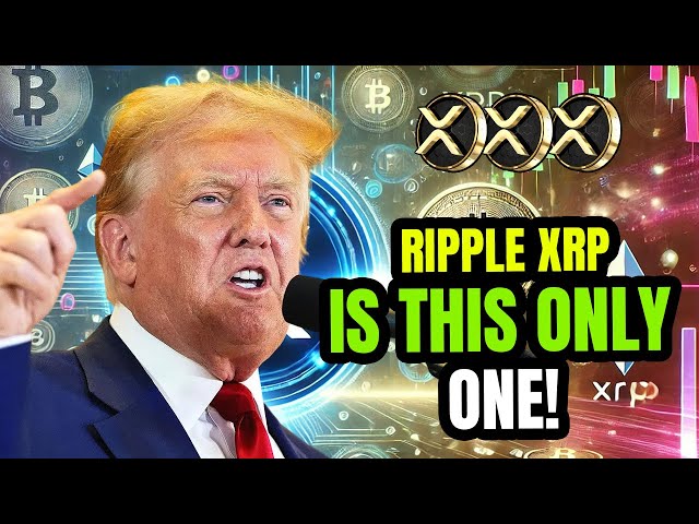 XRP Holders Beware: The Entire Government Is Involved – Must-See Update!