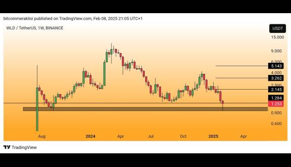 Bitcoin Meraklısı