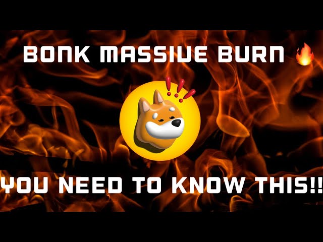 Bonk Coin Burnは説明しました!!!ボンクホルダーは見なければなりません!!