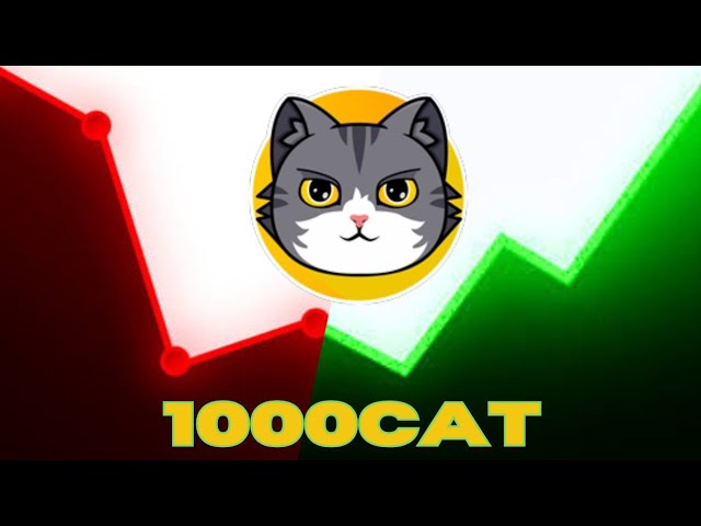 1000CAT/USDT硬币实时图表|加密套利交易策略| Binance P2P交易套利