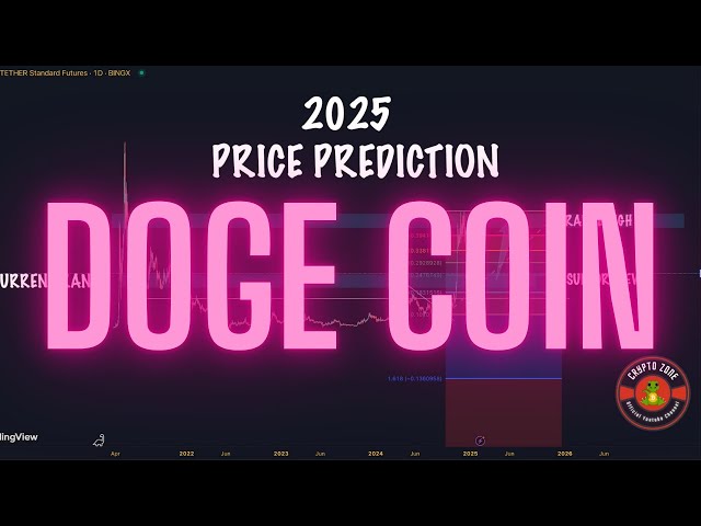 Doge Coin -2025 Crypto Bullrun-分析と価格の予測