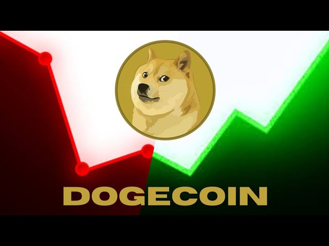 Doge Coin Live Trading | Binance Crypto Arbitrage取引戦略| Dogecoinの価格予測