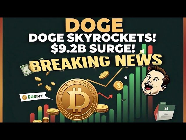 doge 코인 공개 관심사 스카이 로켓 24 명 중 92 억 달러에 이르렀습니다.