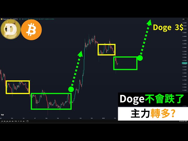 Les taureaux DoGECOIN exercent de force! Doge tombera-t-il? Bitcoin?