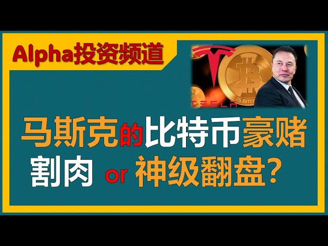 马斯克的比特币豪赌：从狂飙到割肉，还是神级翻盘？｜特斯拉 tesla｜比特币 BTC｜@Alpah投资频道