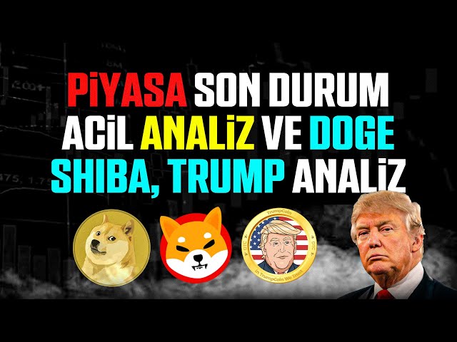 Analyse de l'état de la douleur !! Le marché peut être détruit !! (Doge Shiba Trump Coin Analysis)!