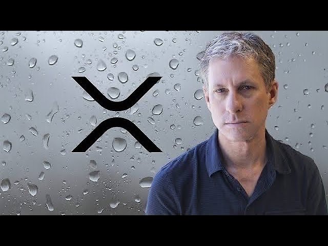 Ripple XRP Chris Larsen hat dies mit Bitcoin gemacht !!!!!! #xrp #Ripple #xrpnews