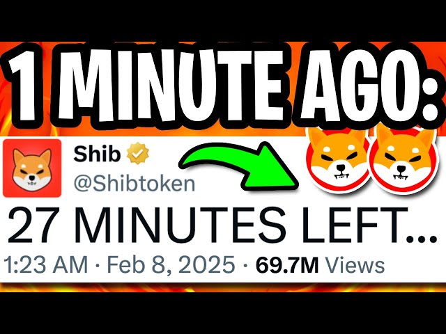 Shiba Inu：彼らはちょうど怒った!!完全に制御不能!! -Shiba Inu Coin News Today