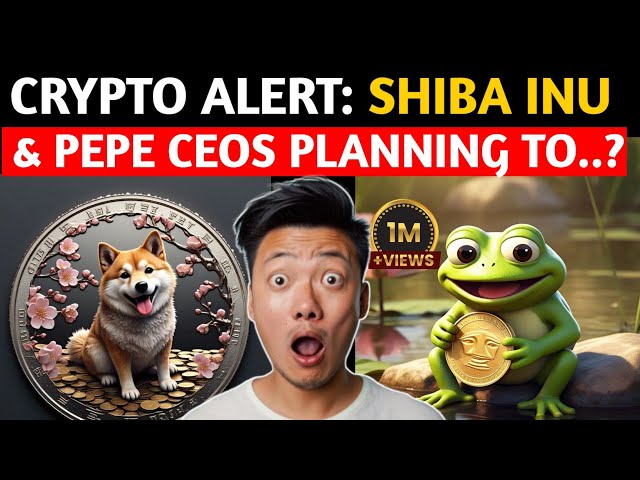 Shiba Inu & Pepe Coins à monter en flèche? La vérité derrière la rumeur de «PDG qui prévient»!