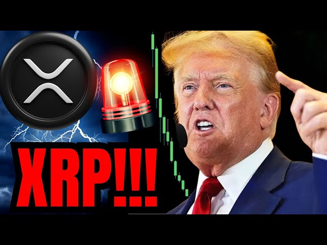 Trump pompera XRP et Crypto Live !!! 🔴