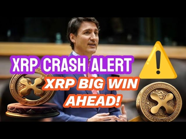 XRP 최신 뉴스 오늘 latest* 헤지 펀드 매니저는 XRP 에서이 AltCoin* XRP 보유자로 이동하고 있습니다!