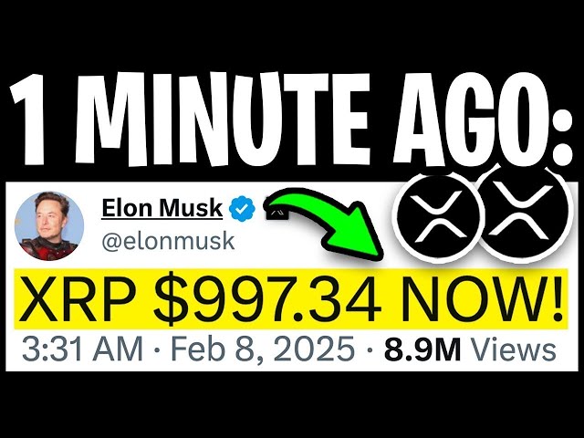 XRP RIPPLE: ELON MUSK SETS EYES ON XRP! XRP WILL HIT $997.34 OVERNIGHT! - RIPPLE XRP NEWS TODAY